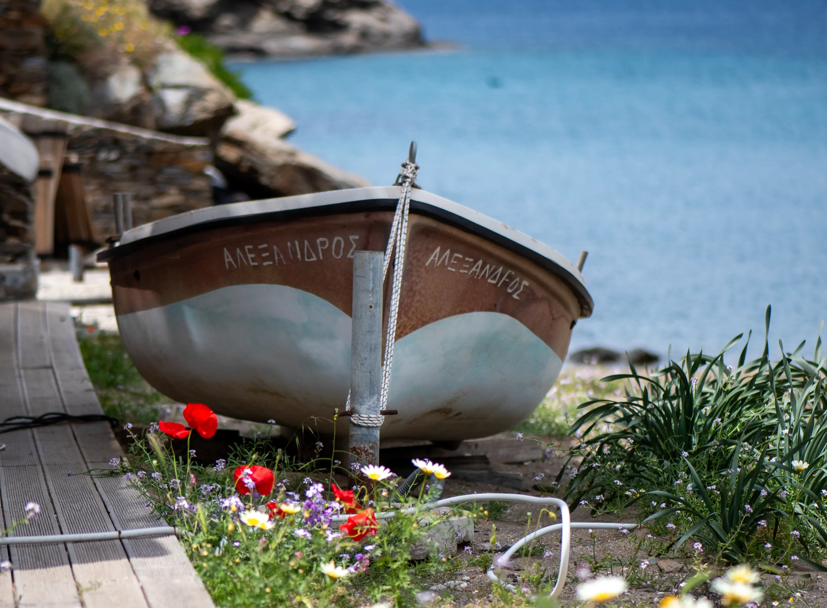 A fishing boat named Alexandros with poppies, Kythnos